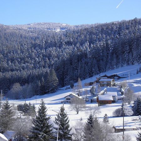 Chalet Renove Proche Du Valtin - Ideal Pour Famille, Randonnees Et Ski, Wifi, Luges Fournies - Fr-1-589-150 Ban-sur-Meurthe-Clefcy エクステリア 写真