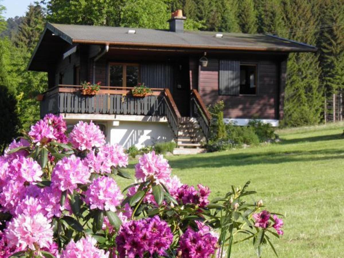 Chalet Renove Proche Du Valtin - Ideal Pour Famille, Randonnees Et Ski, Wifi, Luges Fournies - Fr-1-589-150 Ban-sur-Meurthe-Clefcy エクステリア 写真